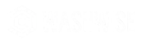 WashWise